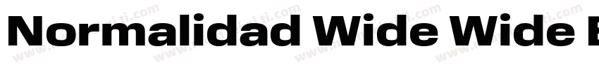Normalidad Wide Wide Black字体转换